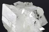 Colorless Apophyllite Crystal Cluster - India #183972-3